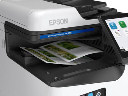 Epson AM-C550 internal output